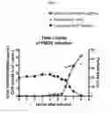 Fig. 07 - HIGH THROUGHPUT QUANTIFICATION AND CHARACTERIZATION OF FOOT AND MOUTH DISEASE VIRUS AND PRODUCTS THEREOF