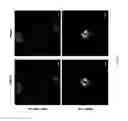 Fig. 09 - Fluorescent cell cycle probe having M-phase specificity