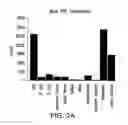 Fig. 04 - High-throughput methodology for identifying RNA-protein interactions transcriptome-wide