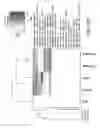 Fig. 09 - High-throughput methodology for identifying RNA-protein interactions transcriptome-wide
