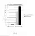 Fig. 03 - SYSTEM AND METHOD FOR IMPROVING BIOMARKER ASSAY
