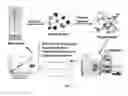 Fig. 02 - QUANTITATIVE ANALYSIS OF TRANSGENIC PROTEIN 5-ENOLPYRUVYLSHIKIMATE-3-PHOSPHATE SYNTHASE
