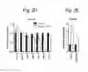 Fig. 06 - MARKERS FOR LIPID METABOLISM