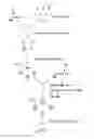 Fig. 01 - Method for selecting agents that bind to transmembrane receptors in a conformationally selective manner