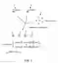 Fig. 02 - Method for selecting agents that bind to transmembrane receptors in a conformationally selective manner