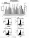 Fig. 09 - Method for selecting agents that bind to transmembrane receptors in a conformationally selective manner