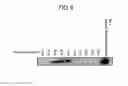 Fig. 06 - Vitamin D measurement method and measurement kit