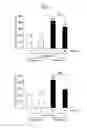 Fig. 02 - MARKER FOR DEPRESSION, ASSAY METHOD, METHOD FOR DETERMINING DEPRESSION, SCREENING METHOD FOR ANTIDEPRESSANTS, AND KIT