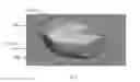 Fig. 07 - MEMS sensor with dynamically variable reference capacitance