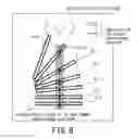 Fig. 08 - Generation and display of plural MR images having different cross-sectional directions with fixed common observation direction