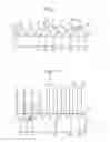 Fig. 02 - Diffraction gratings and the manufacture thereof