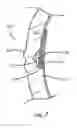 Fig. 07 - Armored optical fiber cable
