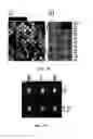 Fig. 03 - High throughput multichannel fluorescence microscopy with microlens arrays