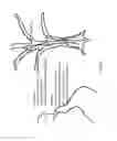 Fig. 73 - Optical configurations for head-worn see-through displays