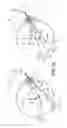 Fig. 02 - Pair of progressive ophthalmic lenses