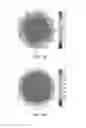 Fig. 07 - Polarising plate for a planar-switch mode LCD, and a planar-switch mode LCD comprising the same