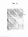 Fig. 09 - Liquid crystal display