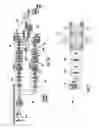 Fig. 16 - Variable reflectance mirror reflective element for exterior mirror assembly