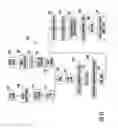 Fig. 40 - Variable reflectance mirror reflective element for exterior mirror assembly