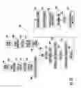 Fig. 41 - Variable reflectance mirror reflective element for exterior mirror assembly