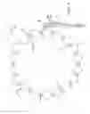 Fig. 02 - Ring light