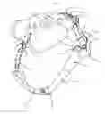 Fig. 05 - USER SECURED WRIST STRAP FOR CAMERA