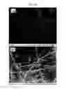 Fig. 19 - Photosensitive coating composition, coating conductive film using photosensitive coating composition, and method for forming coating conductive film
