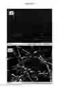 Fig. 25 - Photosensitive coating composition, coating conductive film using photosensitive coating composition, and method for forming coating conductive film