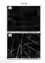 Fig. 28 - Photosensitive coating composition, coating conductive film using photosensitive coating composition, and method for forming coating conductive film