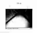 Fig. 29 - Photosensitive coating composition, coating conductive film using photosensitive coating composition, and method for forming coating conductive film