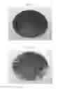 Fig. 02 - Thinner composition for improving coating and removing performance of resist