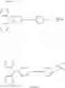 Fig. 21 - Electrophotographic photoreceptor
