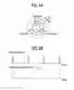 Fig. 07 - ROTATIONAL POSITION DETECTION DEVICE, IMAGE FORMING APPARATUS, AND NON-TRANSITORY COMPUTER READABLE MEDIUM STORING ROTATIONAL POSITION DETECTION PROGRAM