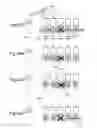 Fig. 46 - Modularized self-addressing apparatus and method