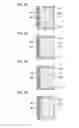 Fig. 07 - Electronic book