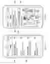 Fig. 09 - User interaction with wearable devices