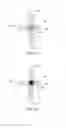 Fig. 09 - Multi-touch resistive touch-screen sensor and controller assembly