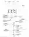 Fig. 02 - VISUALIZATION OF CODE UNITS ACROSS DISPARATE SYSTEMS