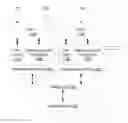 Fig. 01 - Enhancing reliability of transaction execution by using transaction digests