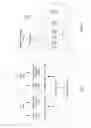 Fig. 02 - Enhancing reliability of transaction execution by using transaction digests