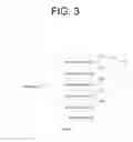 Fig. 04 - Assigning processors to memory mapped configuration