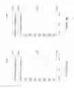 Fig. 11 - Social Queue