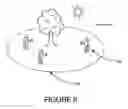 Fig. 06 - POSITION LOCATION-ENABLED, EVENT-BASED, PHOTO SHARING SOFTWARE AND SERVICE
