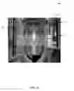 Fig. 04 - Search and identification of video content