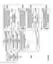 Fig. 46 - Electronic medication order transfer and processing methods and apparatus