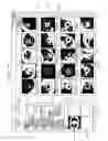 Fig. 76 - Control method and non-transitory computer-readable recording medium for comparing medical images