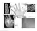 Fig. 01 - Multimodal imaging system and method for non-contact identification of multiple biometric traits