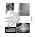 Fig. 02 - Multimodal imaging system and method for non-contact identification of multiple biometric traits