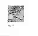 Fig. 08 - unsupervised non-parametric multi-component image segmentation method
