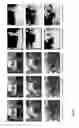 Fig. 16 - Method of detecting structural parts of a scene